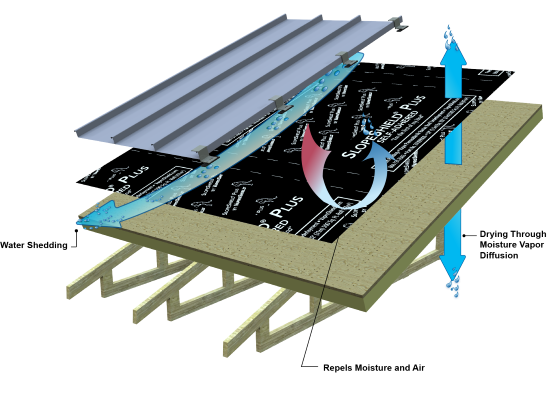VPPCT Diagram 2 WEB 041620a